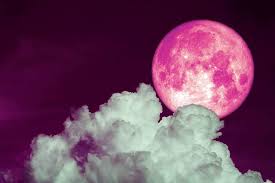 Pink Moon – the full moon in April