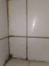 Image result for site:byggahus.se fuktproblem