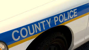 Maybe you would like to learn more about one of these? Police Investigate Carjacking Outside Owings Mills Movie Theater