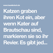Was Tun Gegen Katzenkot Im Garten Katzenkot Kot Katzen