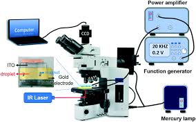 What are the available treatments for diabetic retinopathy?, who is more likely to get diabetic retinopathy?, what can i do to prevent diabetic retinopathy? Sensitive Tear Screening Of Diabetic Retinopathy With Dual Biomarkers Enabled Using A Rapid Electrokinetic Patterning Platform Lab On A Chip Rsc Publishing Doi 10 1039 C9lc00975b