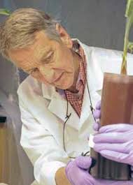 INQUIRY, DISCOVERY IN ENGINEERING AND SCIENCE COLLEGE OF ENGINEERING AND  SCIENCE FALL 2009