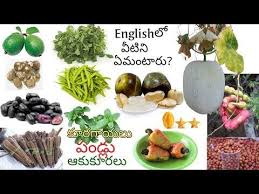 Names Of Vegetables Fruits Leafy Vegetables In Telugu And English Vocabulary Telugu To English You Name Of Vegetables Fruits Name In English Vegetables