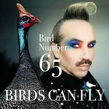 Robin Feather Advert for Birds Can Fly