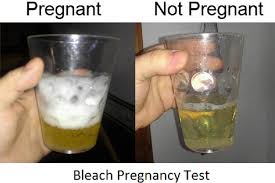 pregnancy tests with home remes