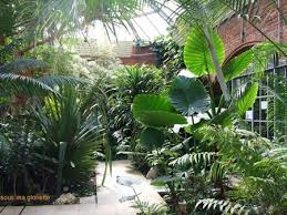Le Jardin Botanique De Metz Sous Ma Gloriette Paysages Tropicaux Jardin Botanique Jardin Tropical