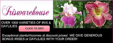 Plants for sale plants for sale. Buy Iris Daylilies Online Home Page Iriswarehouse Com