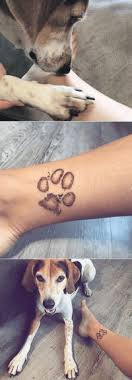 Annie Jorge (annie_jorge) — Perfil