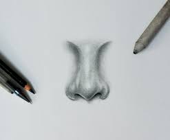 Learn how to draw nose simply by following the steps outlined in our video lessons. Unique Art Blogs How To Draw A Nose Step By Step