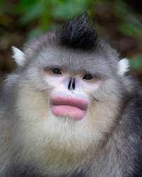 I don't bite but love bites by asha connie kells. Bbc Earth Overline Your Lips They Said It Ll Look Facebook