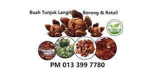 Syarat tanaman yang bisa dicangkok. Buah Tunjuk Langit Skyfruit Retail Borong Posts Facebook