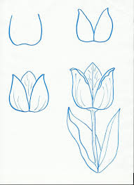Finalise the design and erase. A Blog About Ideas For Art Classes And Art Projects For Kids K 8th Grade Flower Drawing Flower Art Tulip Drawing