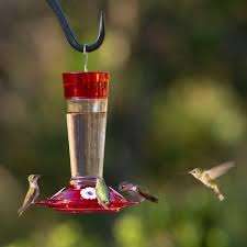Maybe you would like to learn more about one of these? More Birds Bird Health Ruby 10 Oz Hummingbird Feeder 35 At Tractor Supply Co