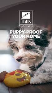 Pet Safety Puppy Proofing Your Home Hill S Pet Puppy Proofing Baby Animals Funny Cute Dogs Images