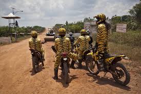 Harimau adalah jenis kucing terbesar dari spesiesnya, bahkan lebih besar dari singa. Tim Mata Harimau Greenpeace Berhenti Di Depan Gerbang Perkebunan Kelapa Sawit Milik Sinar Mas Grup Di Sembuluh Kali Monster Trucks Beautiful Halloween Wreath