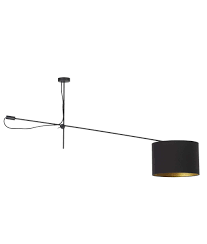 Maybe you would like to learn more about one of these? Offset Ceiling Pendants Put The Light Where You Want It In A Choice Of Two Colours