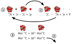 There are three carbon isotopes that occur as part of the earth's natural processes; File Carbon 14 Formation And Decay Svg Wikimedia Commons
