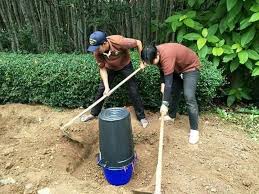 Untuk pengetahuan semua baja alfalife telah pun di terbangkan sebanyak 2 kali ke nigeria di atas permintaan peladang di sana. Cara Thailand Bina Menara Kompos Bajet Dari Baldi Dan Tapis Impiana