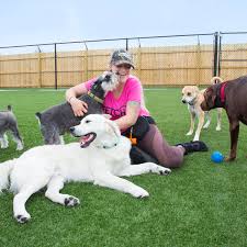 Our facility is nothing like a kennel, and there are no cages. Sponsored Content A Pet Paradise Southjerseymagazine Com