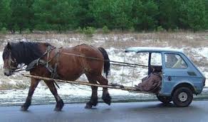 Funny Automobiles Google Search Funny Horse Pictures Funny Horses Horses