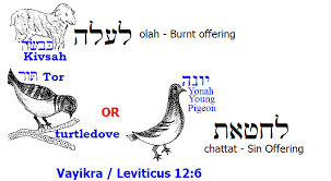 Image result for korbanot olah images