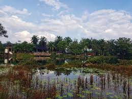 It is a great place for yoga retreat as you are close to a pastoral and calm nature. Review 2019 Tadom Hill Resorts Live Life Lah