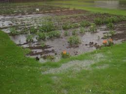 How To Improve Clay Soil And Poor Garden Drainage Garden Solutions Yard Drainage Backyard Drainage