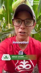 Enlist® Field Specialist Brett Gordon (left) gives 👍👍 to this beautiful  weed-free field of PhytoGen brand PHY 411 W3FE in Clarksdale, MS. Brett  checked in with grower Brian Fyfe (middle) and Corteva