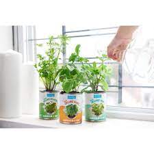 Jefferson explains that the key to growing an indoor herb garden is light, whether from the sun or leds —that's why a windowsill is one of the best spots to grow herbs indoors. 12 Best Indoor Herb Garden Kits 2021 Hgtv