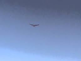 Competition thermal sailplane that won 1st place overall at the 1976 s.o.a.r. Sailaire Youtube