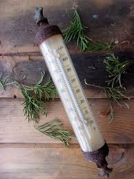 Fleur De Lis Garden Patio Thermometer French Farmhouse Prim Patio Garden French Farmhouse Farmhouse Decor