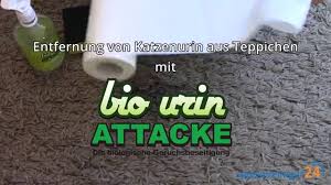 Geruch von hundeurin mit essig neutralisieren. Urinflecken Entfernen So Gelingt Es Bestimmt