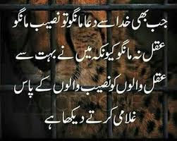 Kfoods.com, the treasure trove of foods and recipes, is the leading food portal of pakistan.kfoods offers food cooking recipes in urdu and english from almost all pakistani, indian and major asian cuisines. Pin By Sheikh Waqar Ahmed On Aqwal E Zareen Beautiful Words Words Islamic Pictures