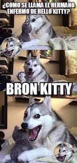 Pin De Angeliroxd Lol En Jajajajajaja Memes Divertidos Memes De Animales Divertidos Humor De Perros