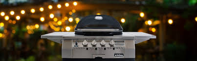 The 10 best gas grills under $2000 dollars in 2021. X Large Gas Kamado Grill Primo Ceramic Grills