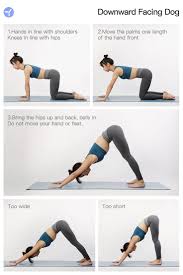Daily Yoga App Downward Facing Dog In 2020 Daily Yoga App Yoga For Beginners Yoga App
