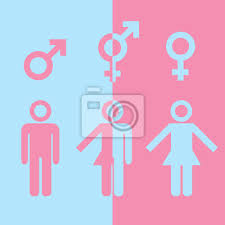 Who created the transgender pride symbols? Transgender Symbol Wandposter Poster Bisexuell Transsexuelle Transgender Myloview De