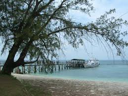 Pulau besar considering east coast island located at johor, about 4.5 hour drive from kuala lumpur. 2021 3d2n D Coconut Island Resort Snorkeling Package Pulau Besar Ami Travel Tours