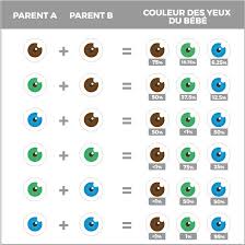 Il existe quelques nuances, mais attention, le résultat ne sera pas toujours celui que vous attendez; Predire La Couleur Des Yeux De Bebe