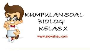 105+ contoh soal bahasa indonesia kelas 8 semester 2 beserta jawabannya + jawaban. Contoh Soal Biologi Kelas Xi Semester 1 Beserta Jawabannya Lengkap