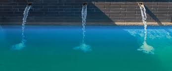 Brushing also stirs up the sediment brushed off for easy killing and filtering. How To Remove Algae From Your Pool