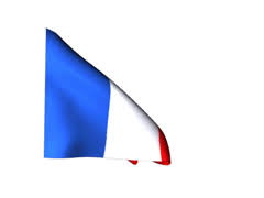 France flag png you can download 23 free france flag png images. French Flag Gifs 23 Animated Tricolor Images For Free