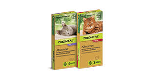 Drontal For Cats And Kittens Quick Reliable Worm Treatment