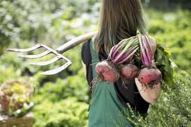 Wir planen und führen aus. Inklusiver Garten Und Landschaftsbau Auf Der Messe Obst Garten