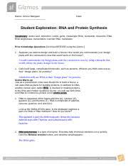 Rna and protein synthesis gizmo : Rnaproteinsynthesisse 1 Odt Name Amour Manguen Date Student Exploration Rna And Protein Synthesis Vocabulary Amino Acid Anticodon Codon Gene Course Hero
