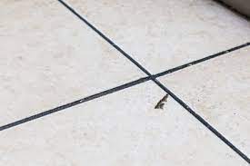 Maybe you would like to learn more about one of these? Reasons For Cracked Floor And Wall Tile