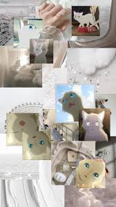 Wallpaper Taro Aesthetic Em 2020 Amor De Gato Olho De Gatinho Papeis De Parede Fofo