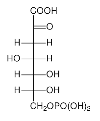 3-Deoxy-D-arabino-heptulosonic acid 7-phosphate - Wikipedia