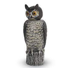 If you are in the uk you can buy one, and many people they are a vital part of natural pest control, preying on rats, mice and other rodents that get into and. Ultrasonic Owl Alert Realistic Decoy Rotating Head Pesticide Free Pest Control Home Garden Henrikhakansson Other Home Garden