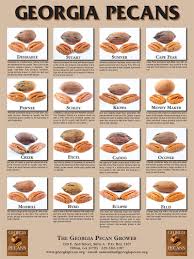 A guide to pecans nutrition facts and calories, explaining exactly why pecans are good for in 100 g of pecan pie there are approximately 407 calories. Durden Pecans Nutrition Family Owned Usa Grown Premium Georgia Pecans